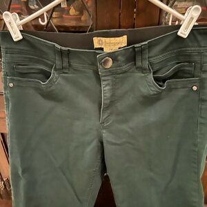Dark Green Democracy Jeans